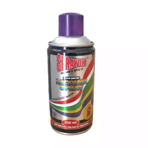 SPRAYON PAINT  VIOLET 250ML
