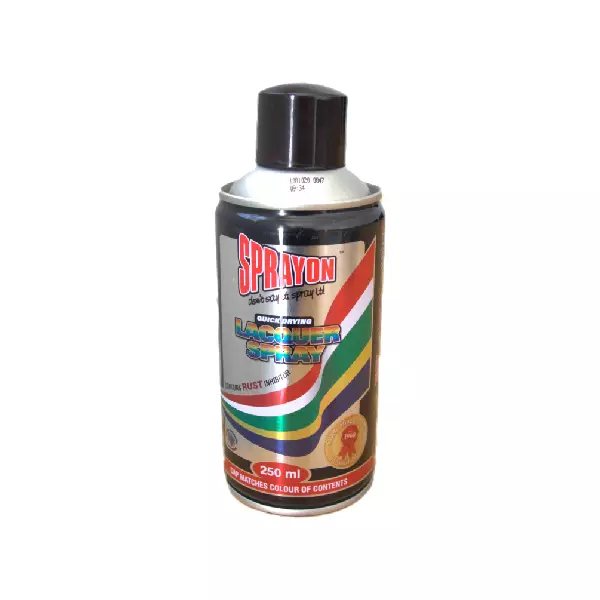 SPRAYON PAINT  BROWN 250ML